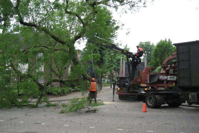 Oldenzaal bomen rooien